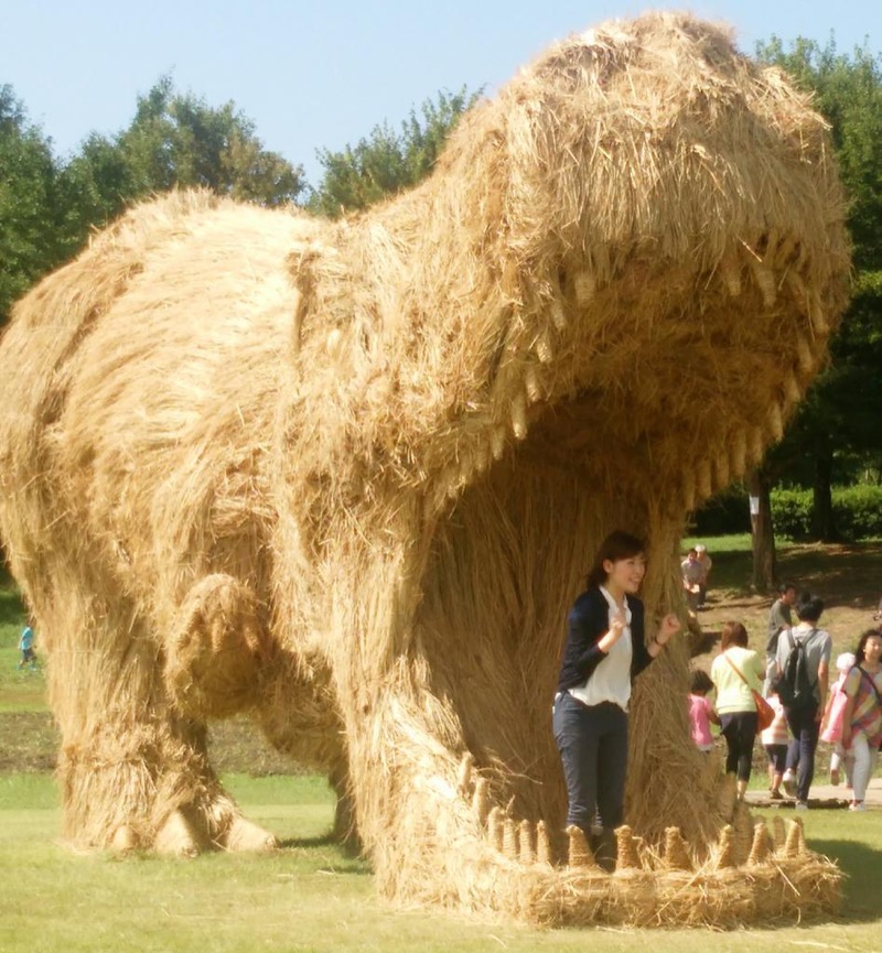 Illustration for article titled Straw Dinosaurs Appear in Japanese Fields, Try To Eat Humans
